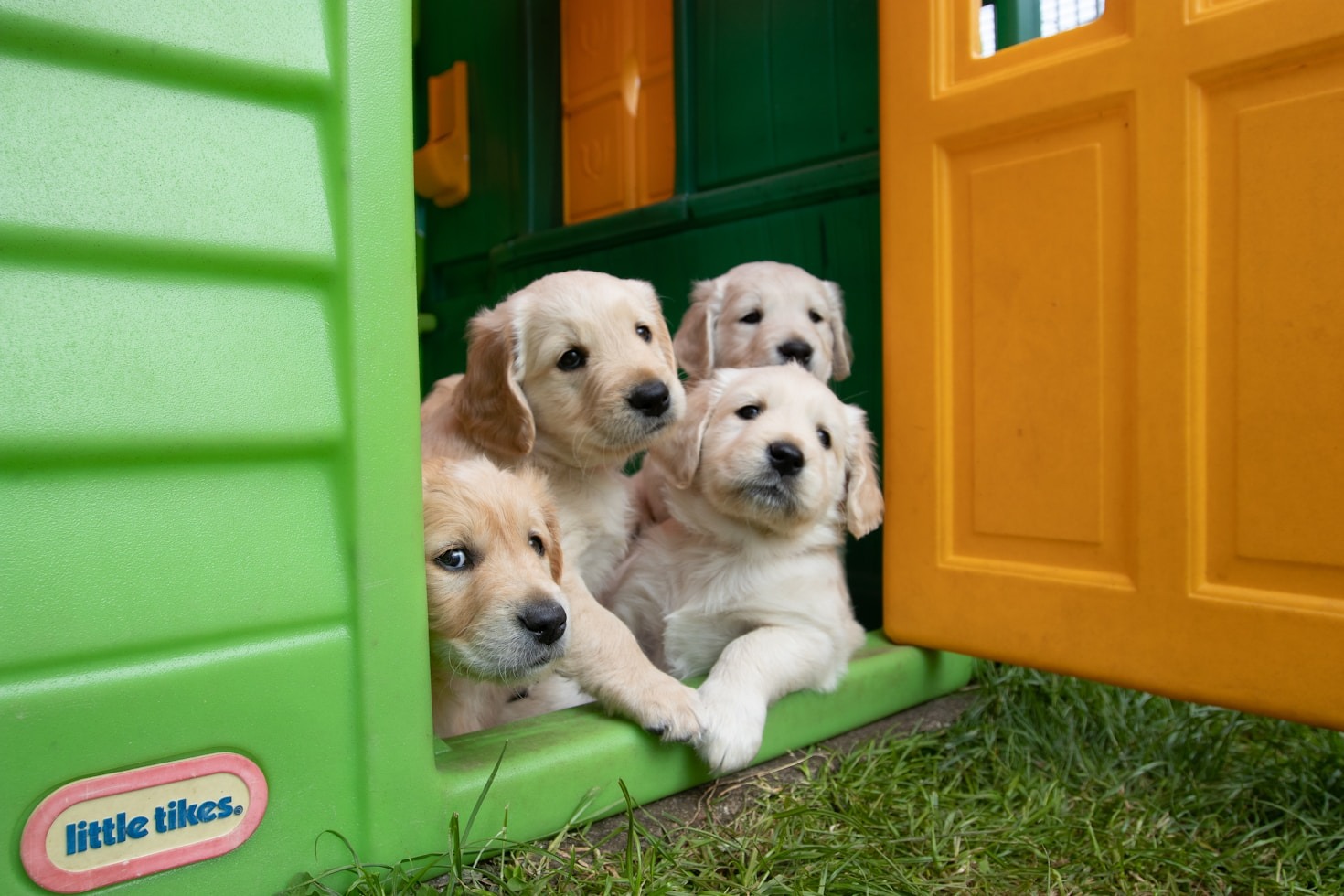 Un espace de contact personnalisé avec LeWoofClub